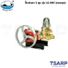 WHALE BEST ปั๊มพ่นยา 3 สูบ รุ่น LS-30C (ครบชุด)