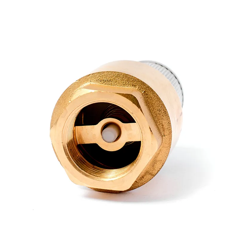 ANA รุ่น 116 ฟุตวาล์วสปริง(รุ่นถอดได้) 3/4” - Image 3