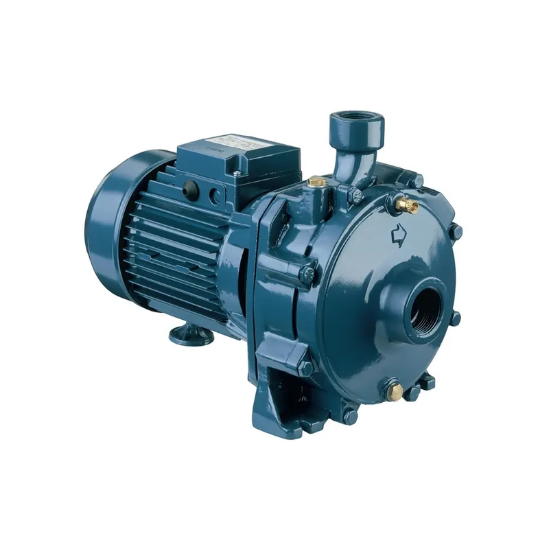 EBARA CDA/E 1.00M (IE2) หอยโข่งใบพัดคู่ (220V) - Image 3