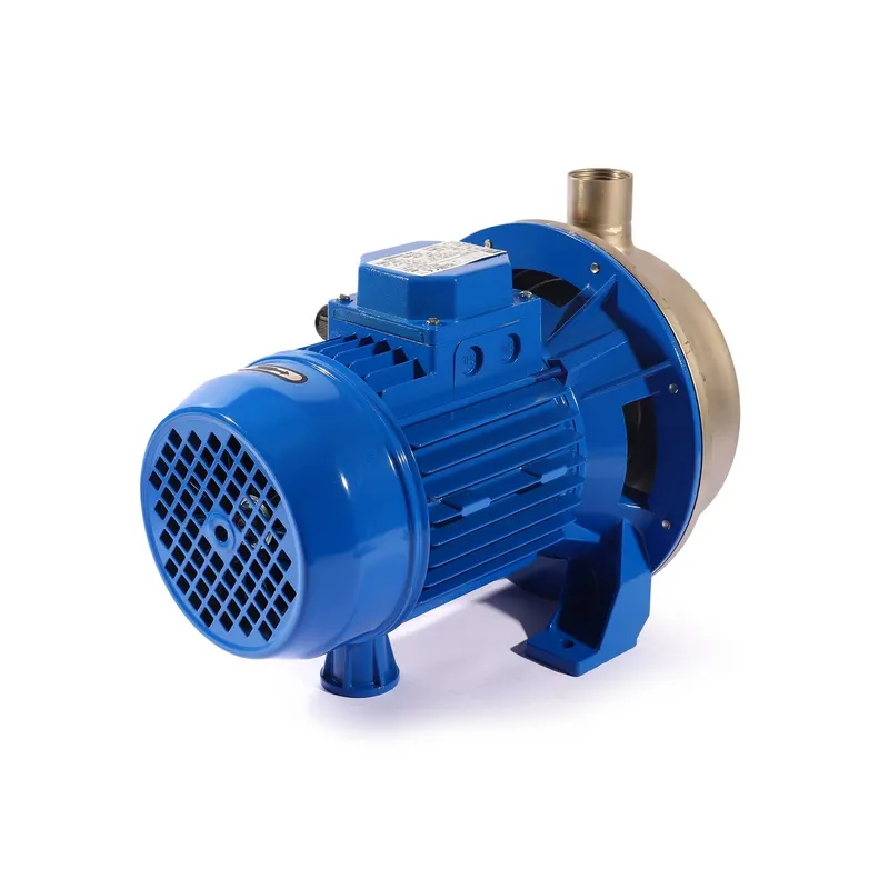 EBARA CDX/I 70/05 IE3 ปั๊มหอยโข่งสแตนเลส 3สาย - Image 3