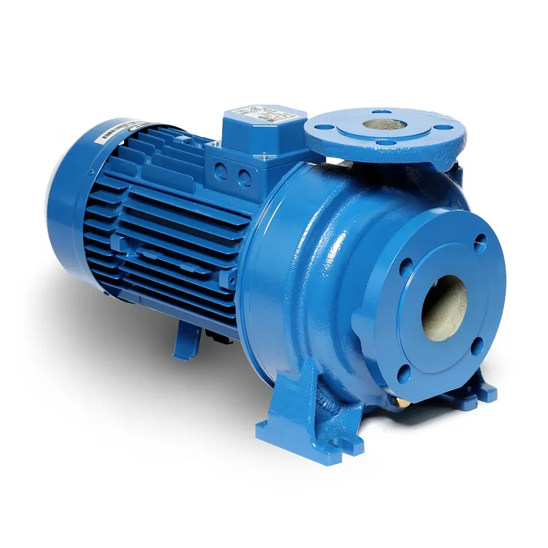 EBARA 3D 40-200/5.5 ปั๊มเหล็กหล่อ - 3 สาย - Image 3