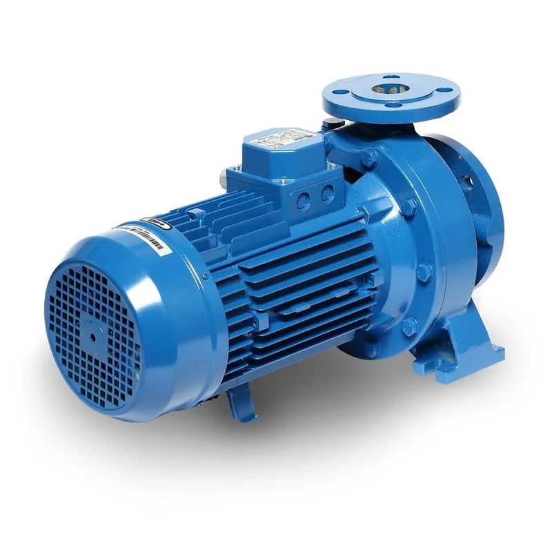 EBARA 3D 50-200/9.2 ปั๊มเหล็กหล่อ - 3 สาย - Image 3