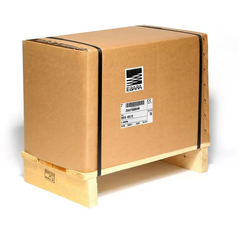 EBARA 3D 65-160/9.2 ปั๊มเหล็กหล่อ - 3 สาย - Image 6