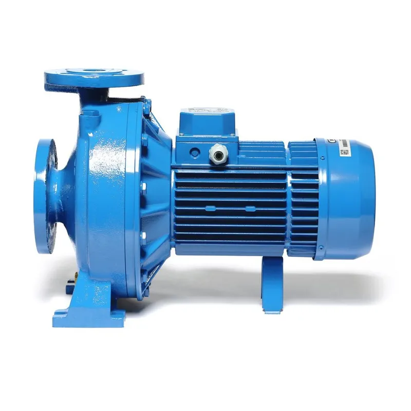 EBARA 3D 65-200/15 ปั๊มเหล็กหล่อ - 3 สาย - Image 3