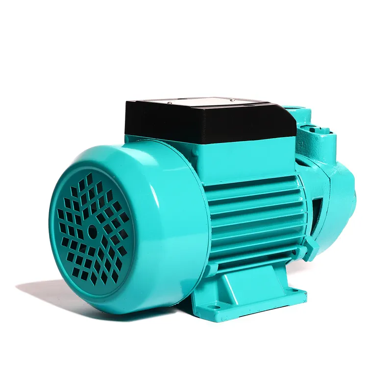 HECTO HB60 ปั๊มหอยโข่งใบพัดเฟือง 0.5HP 1" - Image 3