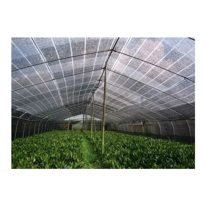 NO.1 ตาข่ายกรองแสง (สแลน) 60% สีดำ ขนาด 2X2ม. - Image 9