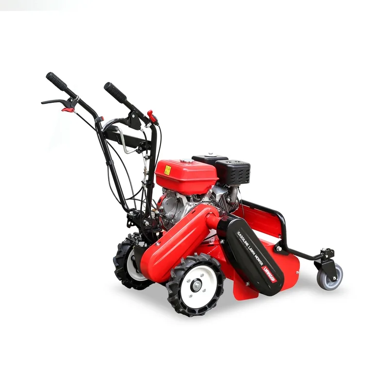 POLO เครื่องสับหญ้าวัชพืช 9.0 HP รุ่น LMW650P - Image 3