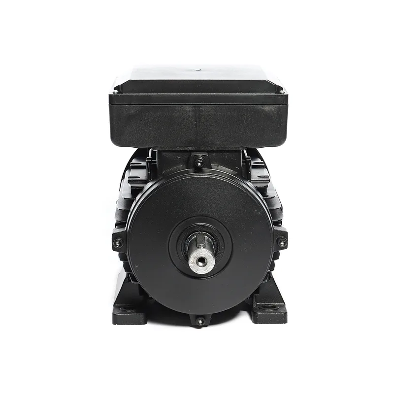 POLO มอเตอร์ 1.5HP 2 สาย 4P 220V รุ่น ML90S-4 - Image 3