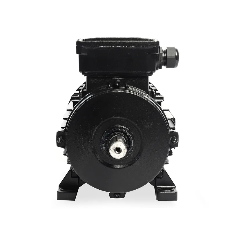 POLO มอเตอร์ 1HP 3 สาย 2P 380V รุ่น MS 8012 - Image 3