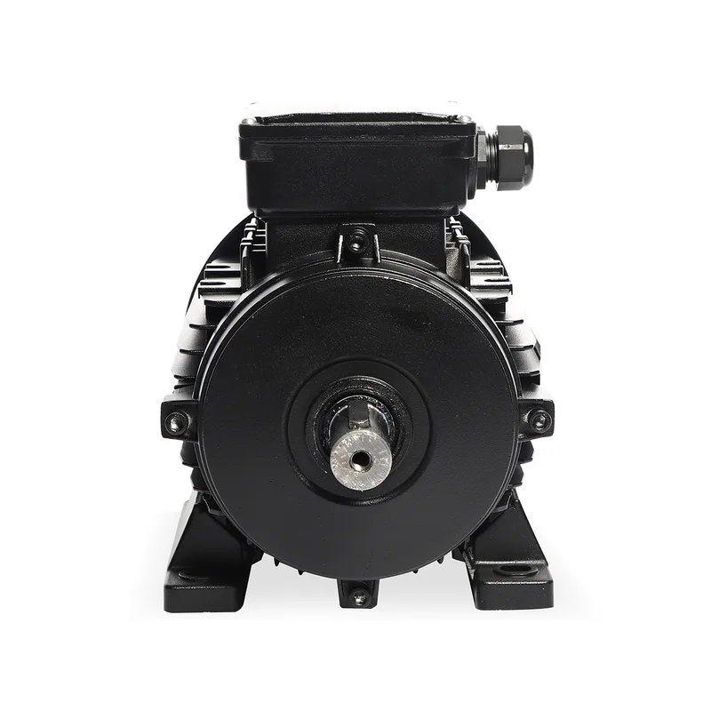 POLO มอเตอร์ 2HP 3 สาย 2P 380V รุ่น MS 90S-2 - Image 3