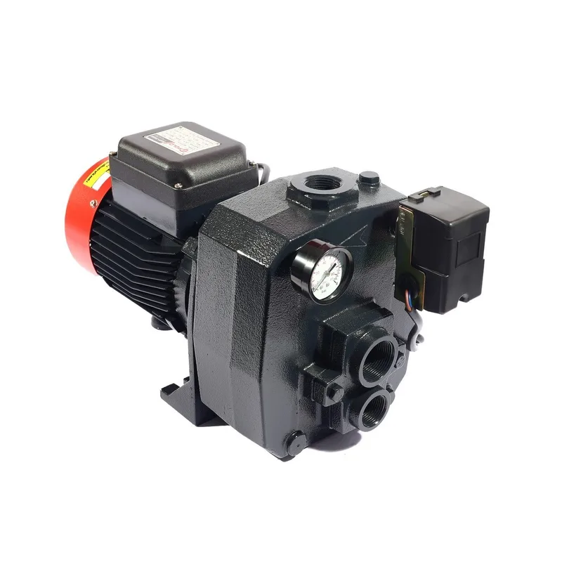 POLO ปั๊มบาดาลออโต้ เจ็ทคู่ 2 HP รุ่น AUDP-750AB - Image 5
