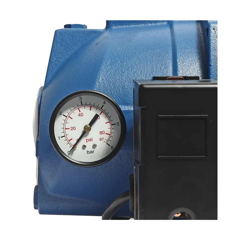 POLO ปั๊มหอยโข่งบาดาล 1HP รุ่น AUJDW-100(EJECTOR-1) - Image 3