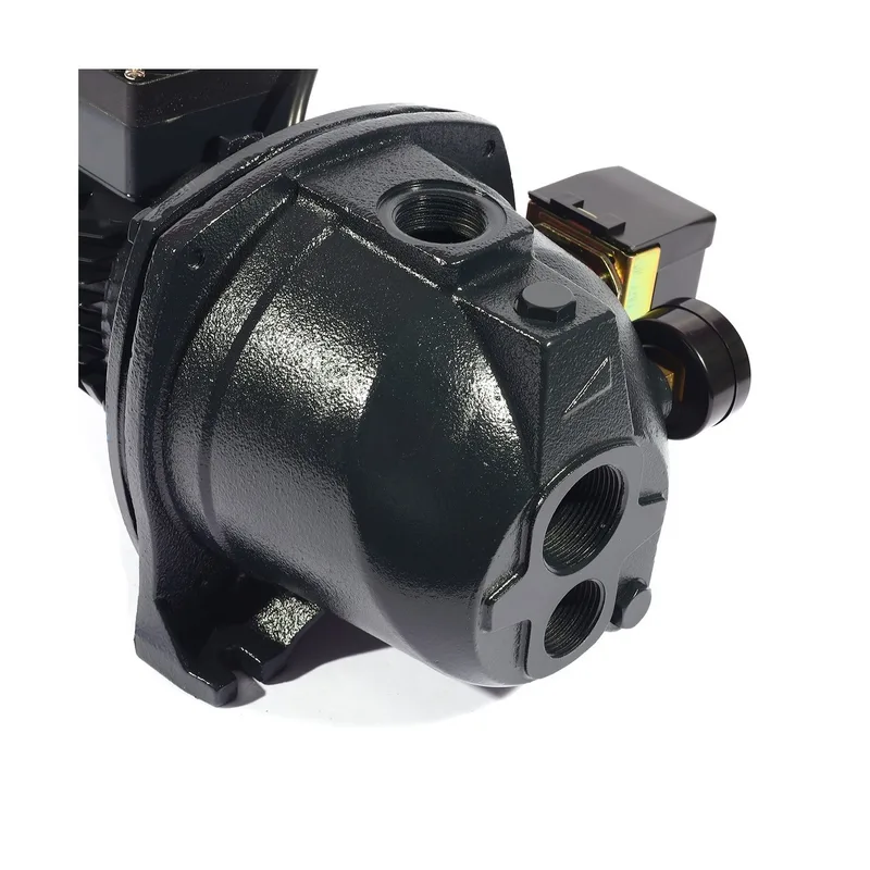 POLO ปั๊มบาดาลออโต้ เจ็ทคู่ 1 HP รุ่น AUJDW-100B - Image 6