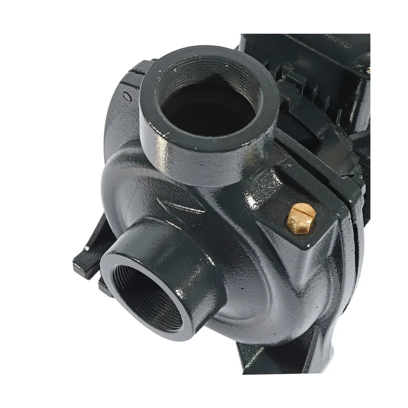 POLO ปั๊มหอยโข่ง 2HP 2" รุ่น LHF1-5AMB - Image 5