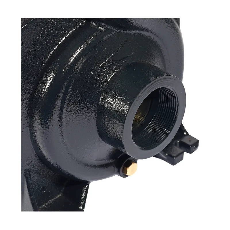 POLO ปั๊มหอยโข่ง 1.5HP 2" รุ่น LHF1-5BMB - Image 5