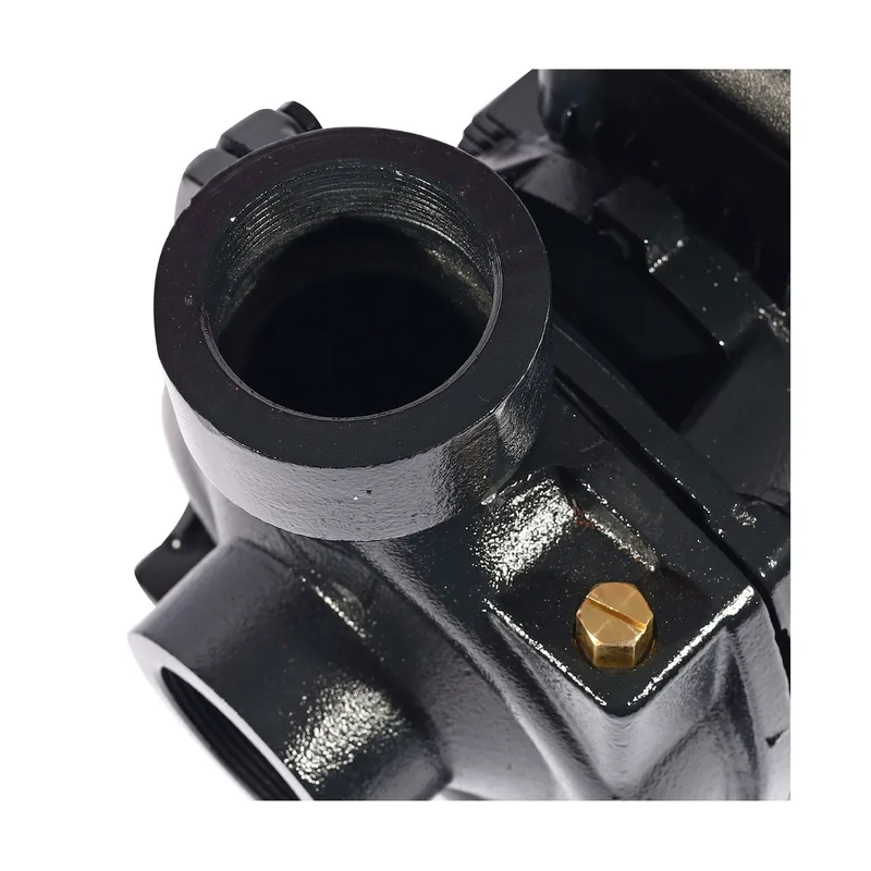 POLO ปั๊มหอยโข่ง 1.5HP 2" รุ่น LHF1-5BMB - Image 6