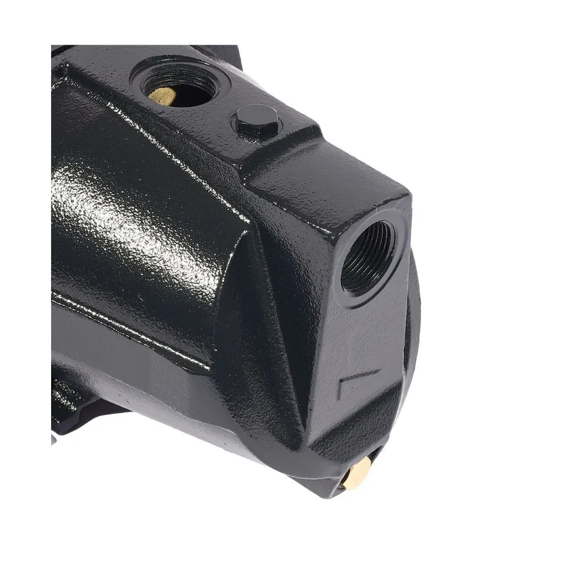 POLO ปั๊มหอยโข่งล่อน้ำ 1HP 1" รุ่น JSW-10MB - Image 5