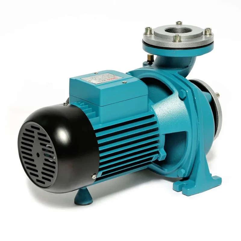 POLO ปั๊มหอยโข่ง หน้าแปลน 3HP 2" รุ่น NFM-130A2 - Image 3