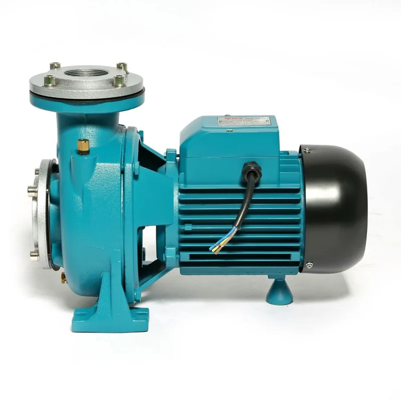 POLO ปั๊มหอยโข่ง หน้าแปลน 3HP 2" รุ่น NFM-130A2 - Image 5