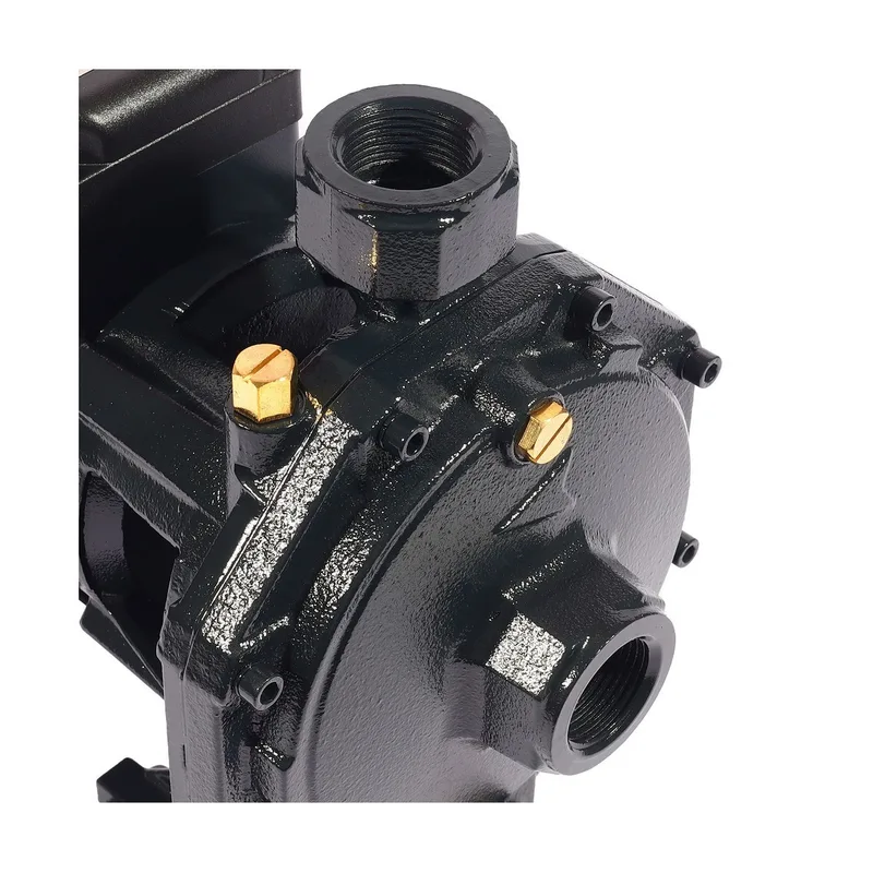 POLO ปั๊มน้ำ 2 ใบพัด 1 HP 1" X 1" รุ่น SCM2-45B - Image 5
